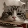 😌