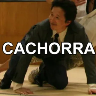 🐶 CACHORRA cachorra, woman, slang, derogatory, insult whatsapp sticker