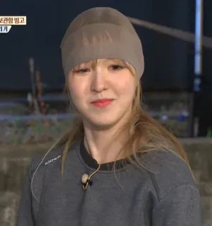 🍋 Wendy persona, donna, celebrità, kpop, idol, cantante, ritratto whatsapp sticker