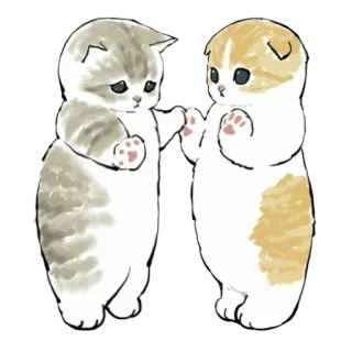 ☺️ gato, gatito, lindo, kawaii, animal, mascota, amistad whatsapp sticker