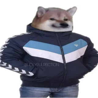 😐 Doge 밈, 도지, 강아지, 재킷, Hummel telegram sticker