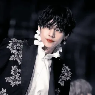▫️ V v, bts, kpop, piosenkarz, idol, koreański, celebryta telegram sticker