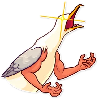 🤬 gaivota, pássaro, músculos, braços, engraçado, desenho animado telegram sticker
