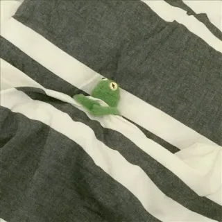 Kermit @stickersb2b telegram stickers