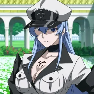 Akame ga Kill! • @animestickersii telegram stickers