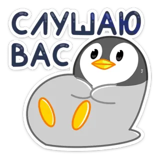 👂 СЛУШАЮ ВАС pinguino, ascolto, carino, animale, uccello, cartone animato telegram sticker