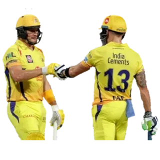 🤜 India Cements Cricket, Sport, Squadra, Chennai Super Kings telegram sticker