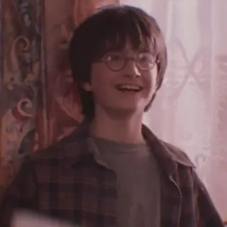 🦁 Harry Potter Harry Potter, Daniel Radcliffe, mago, película, personaje whatsapp sticker