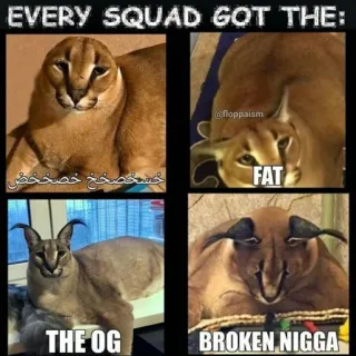 🐱 EVERY SQUAD GOT THE:
خش خصخخ خصخخص
FAT
THE OG
BROKEN NIGGA Katze, Meme, Tier, Floppa telegram sticker