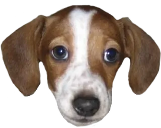 TwitchSmiles whatsapp stickers