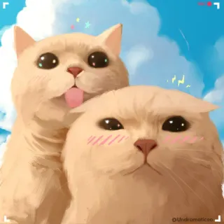 🌟 @undramaticoo gato, lindo, divertido, animales, mascota, pegatinas telegram sticker