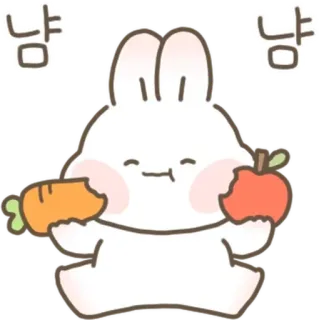 💬 냠 냠 coniglio, carino, carota, mela, mangiare telegram sticker