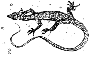 🦎 Eidechse, Reptil, Tier, Natur, Zeichnung, Kunst, Aufkleber telegram sticker