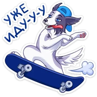 🛹 Уже иду-у-у dog, skateboard, animal, cartoon, funny, cool, russian telegram sticker