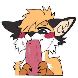 💦 telegram sticker