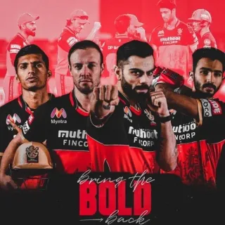 🤩 Bring the BOLD back cricket, squadra, sport, RCB, BOLD telegram sticker