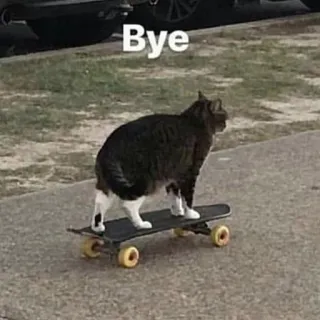 😨 Bye Katze, Skateboard, Tier, Humor, Tschüss, Haustier, Skaten telegram sticker