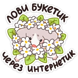 🌸 лови букетик Через интернете flowers, bouquet, internet, cute, animal telegram sticker
