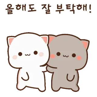 💬 올해도 잘 부탁해! น่ารัก, ทักทาย, แมว, มิตรภาพ, ปีใหม่, ขอบคุณ telegram sticker