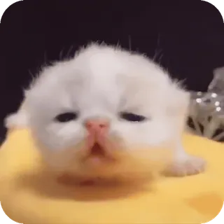 😞 telegram sticker