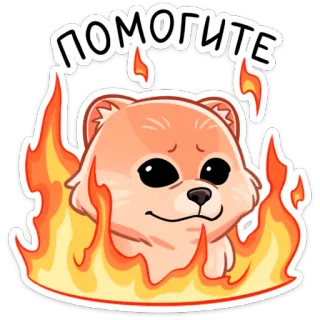 🔥 ПОМОГИТЕ 개, 불, 도움, 귀여운, 스티커, 만화 telegram sticker