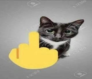 🖕 gato, dedo corazón, emoji, ofensivo, grosero, gesto whatsapp sticker