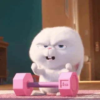 🍓 Snowball The Secret Life of Pets กระต่าย, ยกน้ำหนัก, ดัมเบล, ฟิตเนส, การ์ตูน, สัตว์, ออกกำลังกาย, ยิม, ตลก telegram sticker