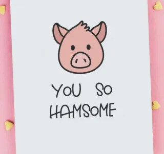 🤪 YOU SO HAMSOME Schwein, Schinken, hübsch, Liebe, Grußkarte, Wortspiel, Tier, niedlich whatsapp sticker