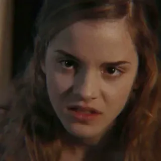 🐿 Hermione Granger Harry Potter Hermelien Griffel, Harry Potter, Emma Watson, personage, film, boeken telegram sticker