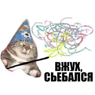 Кот вжух telegram stickers