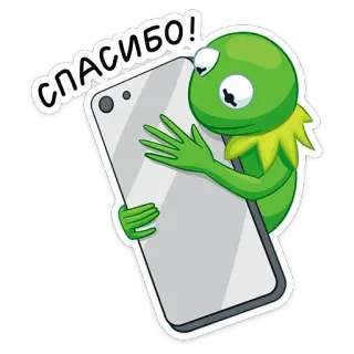 😊 Kermit СПАСИБО! Kermit the Frog, thank you, Russian, phone, cartoon frog, greeting whatsapp sticker