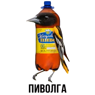 @shblok telegram stickers