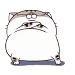 👀 Katze, Tier, Cartoon, Haustier, Süß, Sticker telegram sticker