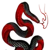 🐍