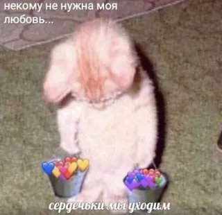 ❤️ некому не нужна моя любовь... сердечки мы уходим Katze, traurig, Herzen, Eimer telegram sticker