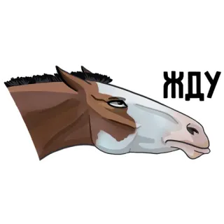 😤 ЖДУ cavalo, esperando, animal, meme, russo telegram sticker