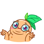 🤷‍♀️ telegram sticker