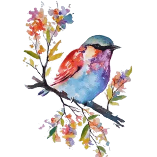 🐦 นก, สีน้ำ, ดอกไม้, ธรรมชาติ, สัตว์, ศิลปะ, ฤดูใบไม้ผลิ telegram sticker