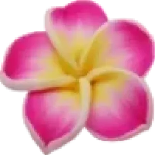 🌸 Blume, Frangipani, Tropisch, Rosa, Gelb, Blumenmuster telegram sticker