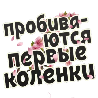 ☺️ пробиваются первые коленки ロシア語, 花, ステッカー, テキスト telegram sticker