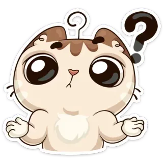 ❓ 고양이, 물음표, 귀여운, 혼란스러운, 애완 동물, 스티커 telegram sticker