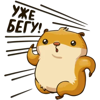 🏃 YXE BEXY 仓鼠, 动物, 卡通, 可爱, 搞笑 whatsapp sticker