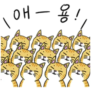 🐈 cat, cats, cute, sticker, animal, pet, cartoon telegram sticker