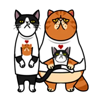 😕 кошки, животные, милые, наклейка, мультфильм, каваи whatsapp sticker