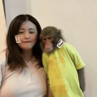 ❤️ I woman, monkey, animal, human whatsapp sticker