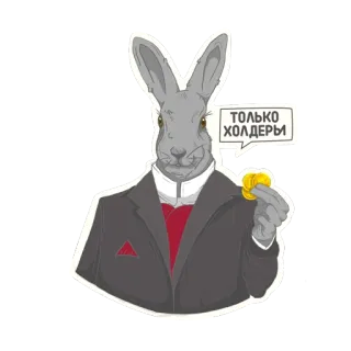 🪙 ТОЛЬКО ХОЛДЕРЫ coniglio, vestito, soldi, supporto, russo whatsapp sticker