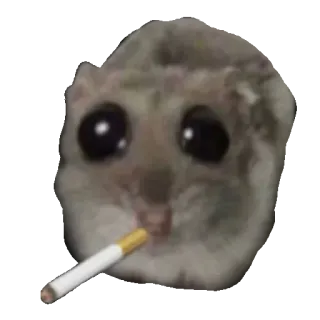 🚬 mouse mouse, smoking, cigarette, cute, funny, animal, meme telegram sticker