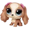 ๐ถ