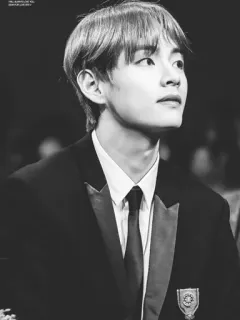 🥀 V K팝, 가수, 배우, 아이돌, BTS, 김태형 telegram sticker