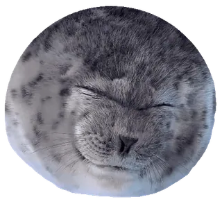 😜 seal telegram sticker
